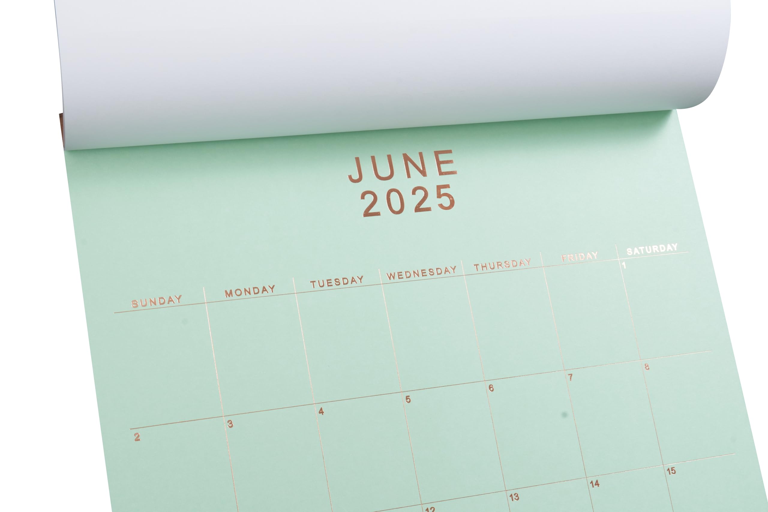 2025 Wall Calendar 12x15 Inches - Elegant Rose Gold Foil Monthly Planner with Peel-Off Pages | Large Print Hanging or Desk Calendar | Pastel Multicolor Paper | Jan-Dec 2025 (5 Colors) - Perfect for Home, Office & Gift Giving