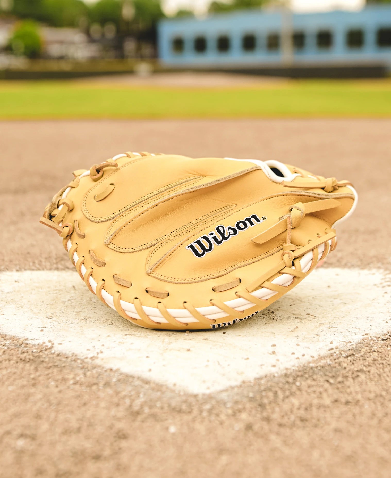 Wilson A1000 CM33 33
