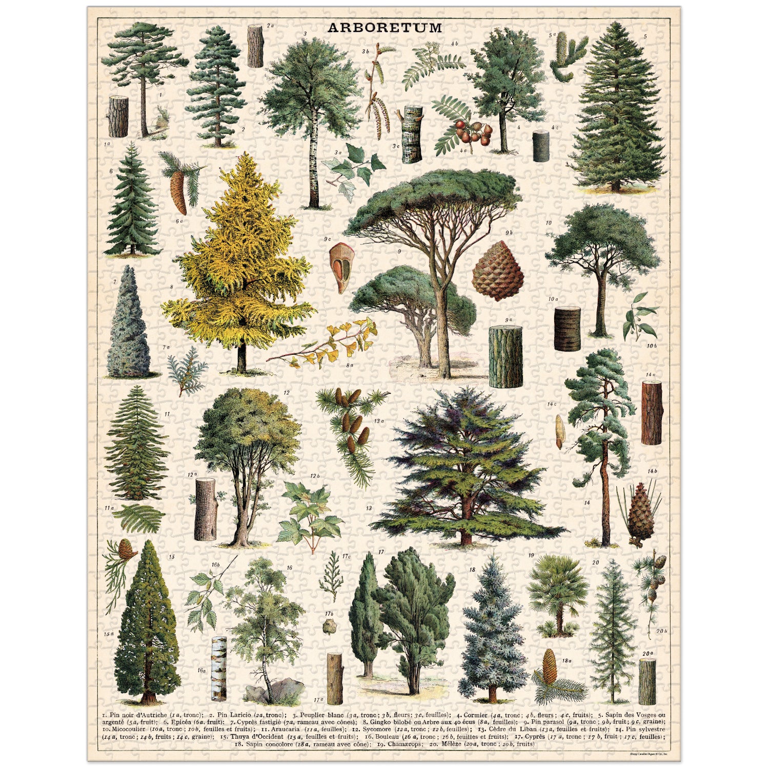 Arboretum Puzzle - 1000 Piece Tree & Nature Jigsaw Puzzle for Adults & Teens - Perfect for Relaxation, Family Bonding & Home Decor