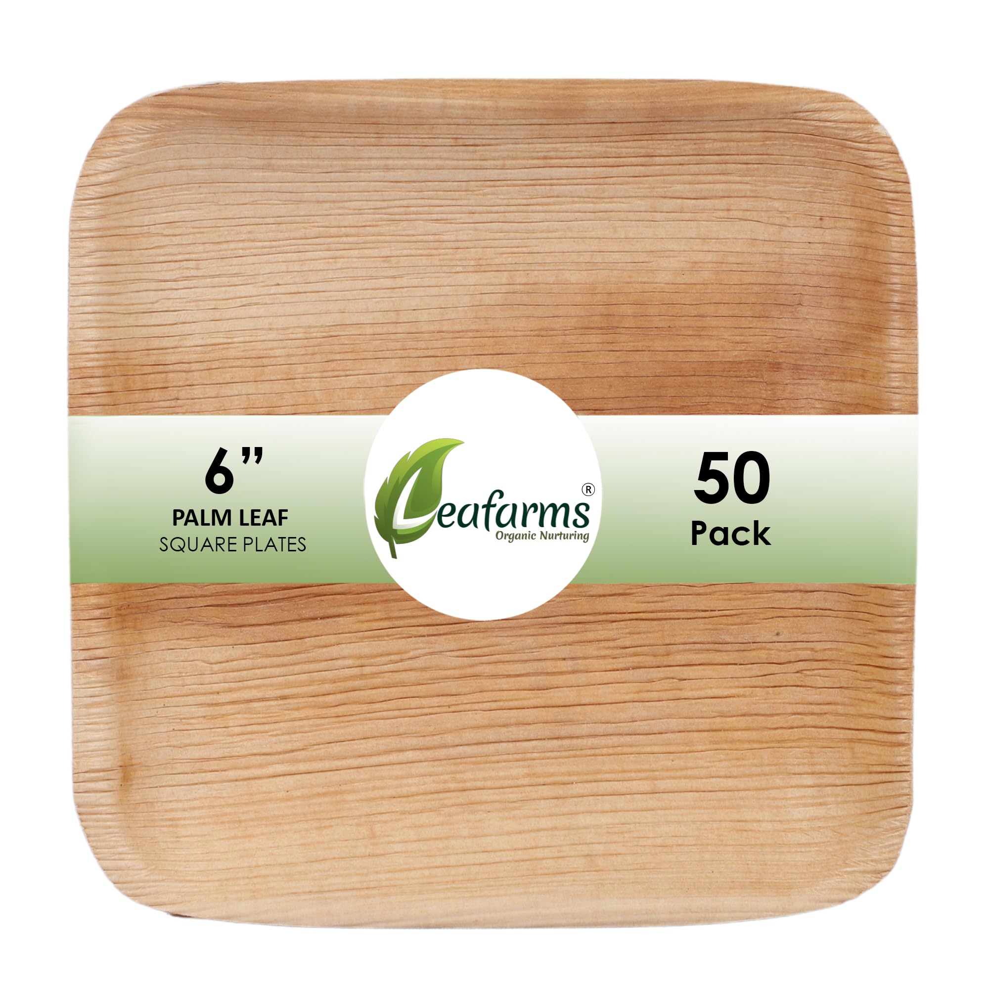 Eco-Friendly 6
