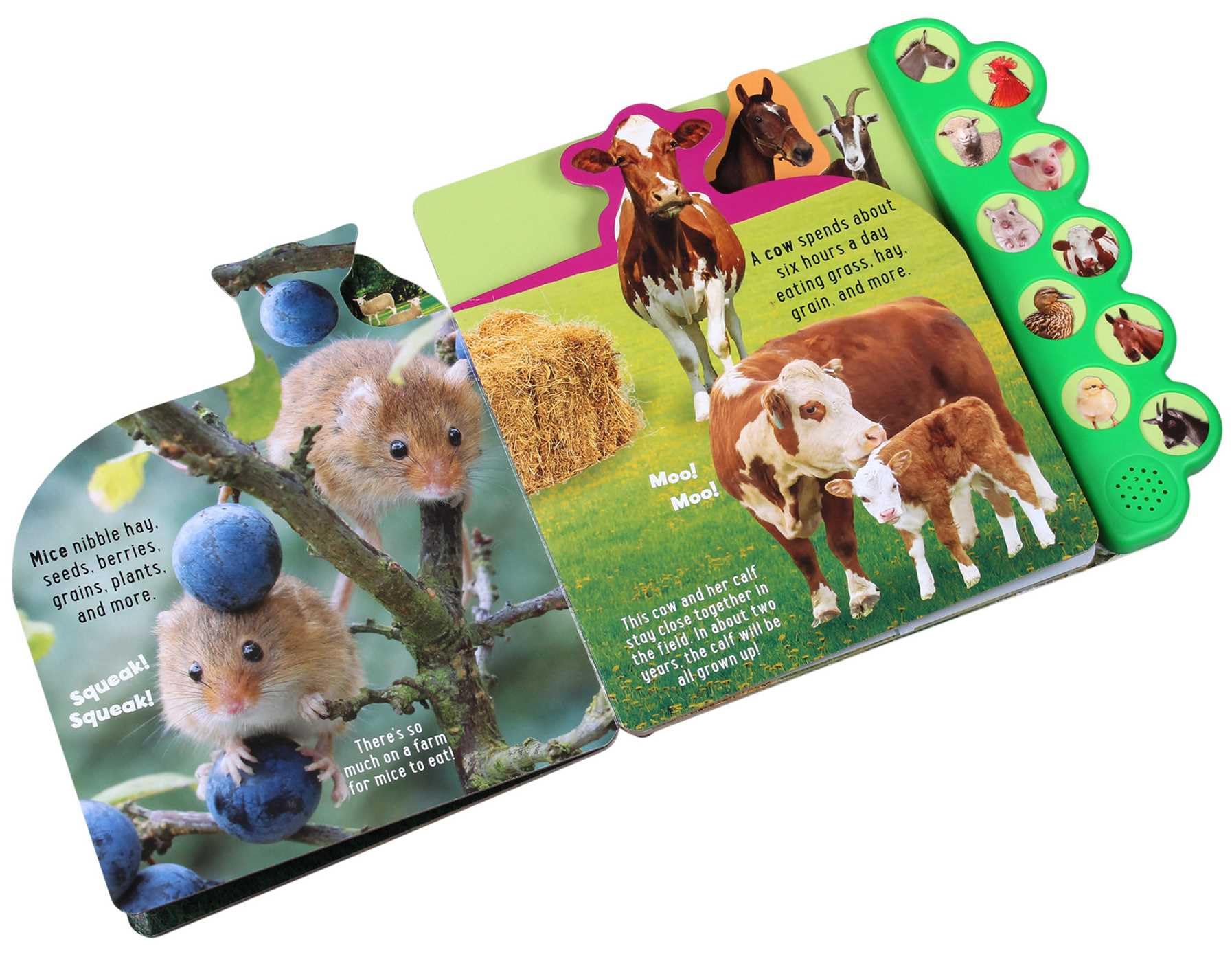 Discovery: Moo on the Farm! - Interactive 10-Button Sound Book for Kids | Animal Sounds Learning Toy for Toddlers | Perfect for Storytime, Preschool Education & Early Childhood Development