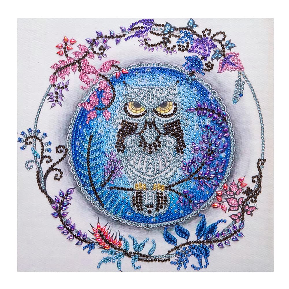CaptainCrafts DIY 5D Diamond Painting Kit - Special Shape Crystal Rhinestone Art with Colorful Numbered Pattern (30x30cm Wreath Owl Design) for Adults & Beginners | Home Decor, Wall Art, Gift Idea, Stress Relief & Mindfulness Activity