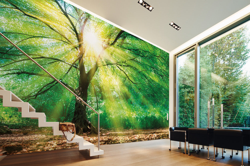 Design Walls Forest Light - Modern Wall Decor for Home & Office - Perfect for Living Room, Bedroom, and Workspace Lighting