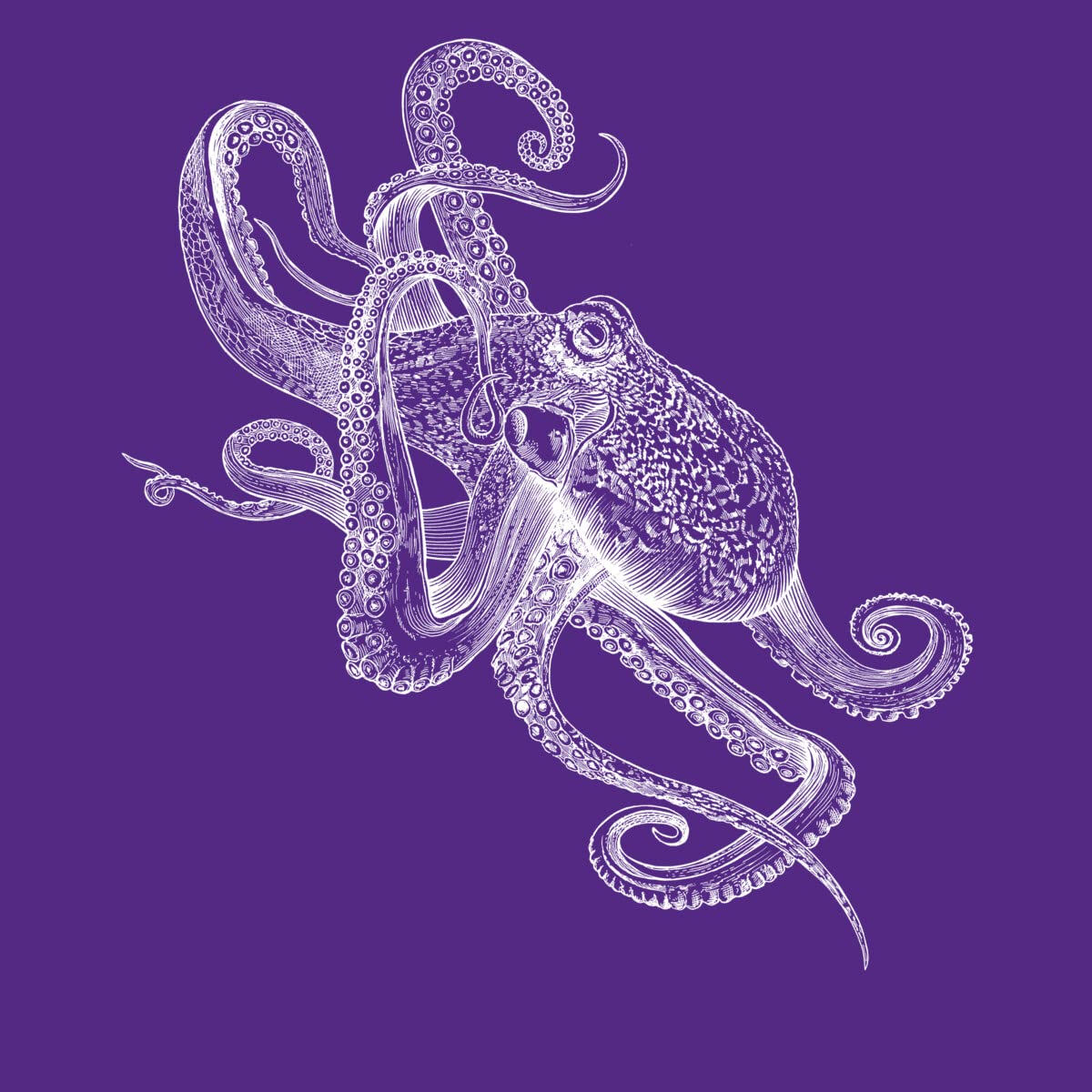 Design By Humans Women's White Octopus Graphic Racerback Tank Top - Soft Cotton Workout & Casual Wear for Gym, Beach & Summer Outfits
