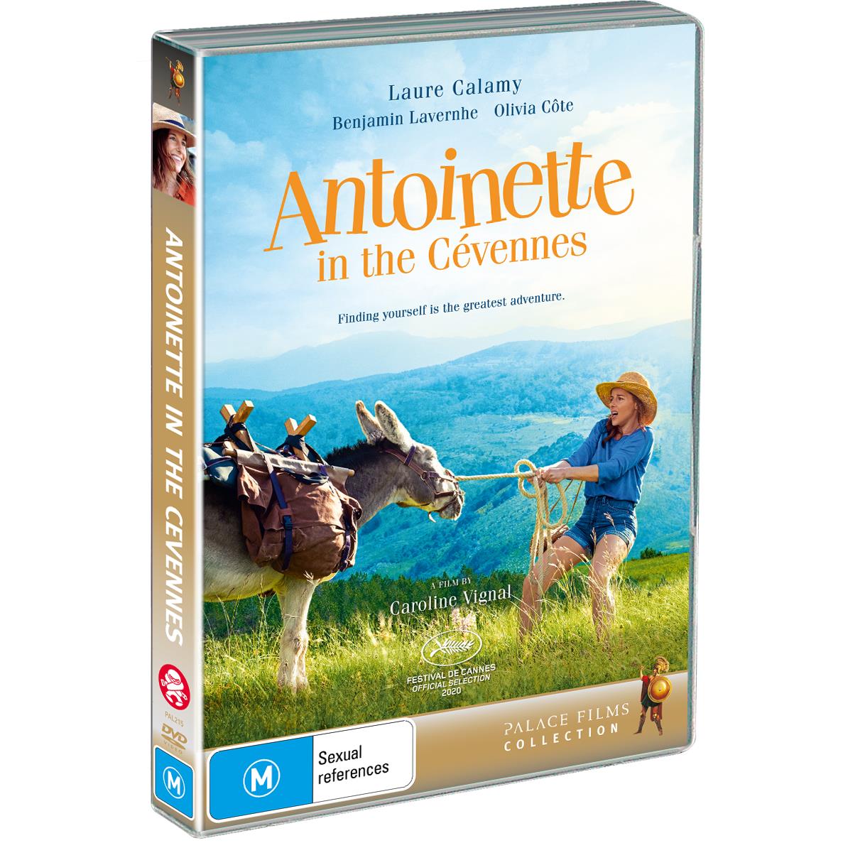 Antoinette in the Cevennes - French Inspired Women's Fashion Dress for Casual & Special Occasions | Perfect for Weddings, Parties & Romantic Getaways