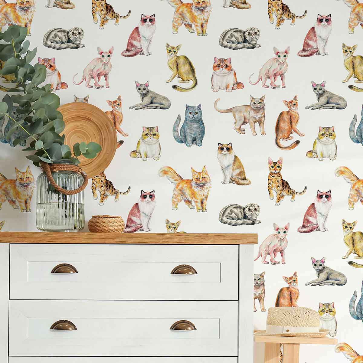 Orange Cat Peel and Stick Removable Wallpaper - Self-Adhesive Decorative Wall Covering for Bedroom, Nursery, Office - Easy to Apply & Remove (Design 6942)