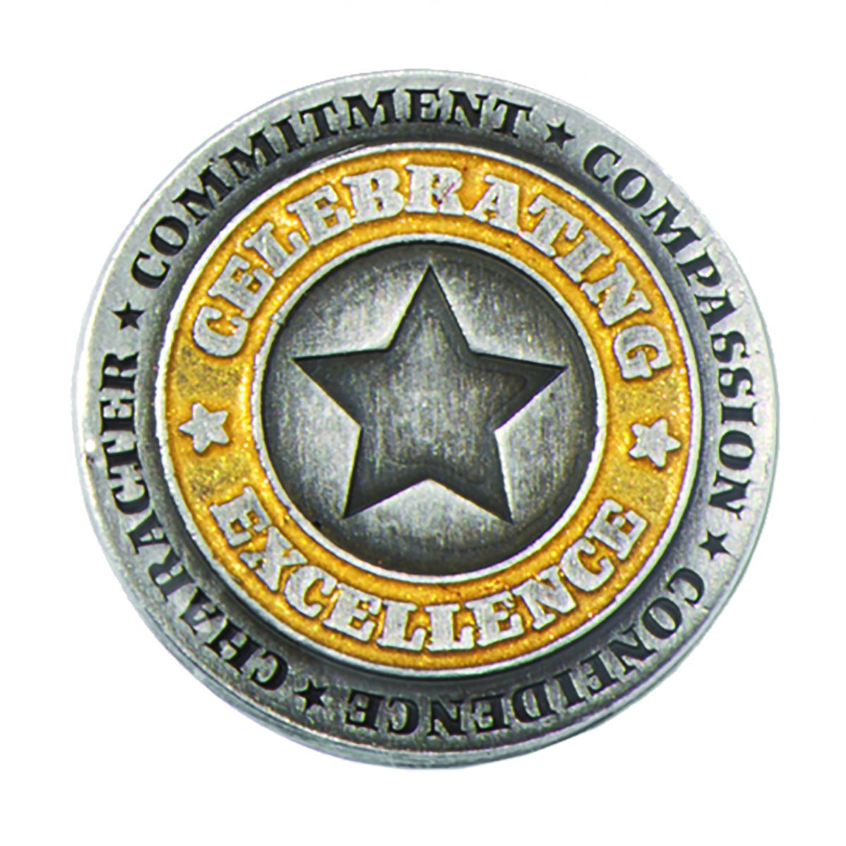 Premium Gold & Silver Excellence Award Pins - 6pc Set for Ceremonies & Gifts