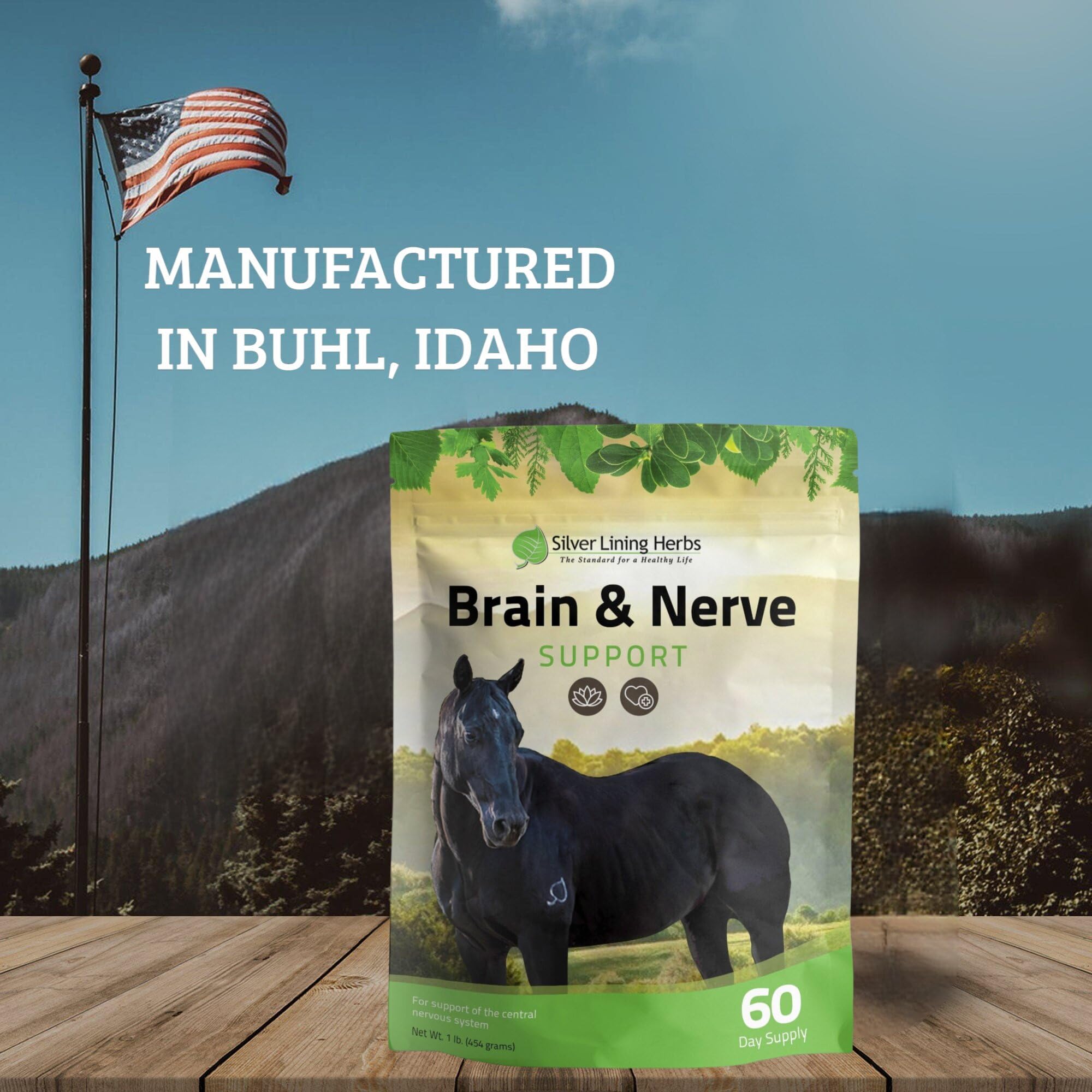 Silver Lining Herbs Brain & Nerve Support for Horses - Natural Equine Herbal Supplement for Improved Focus, Attention Span & Behavior - Promotes Mental Health & Calmness - 1 Pound Bag - Ideal for Training, Competition & Anxious Horses