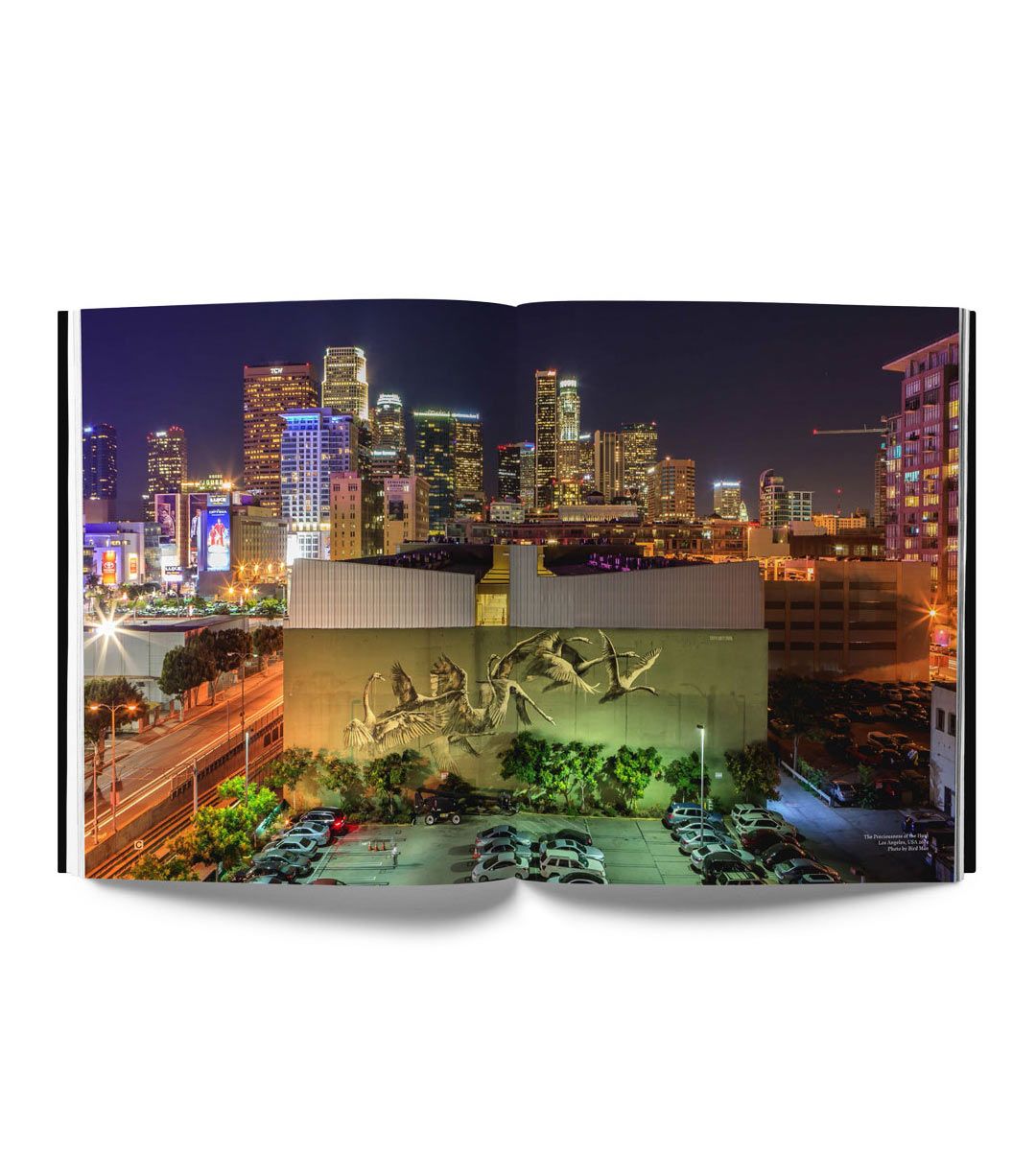 Faith47 Ex Animo Art Print - Premium Wall Decor for Home & Office | Perfect for Living Rooms, Bedrooms & Creative Spaces