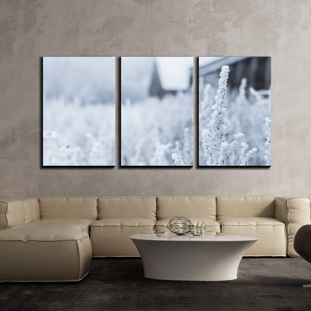 Wall26 - 3 Piece Canvas Wall Art Set - White Frost on Grasses in Winter Morning Landscape - Modern Framed Home Decor Ready to Hang (16
