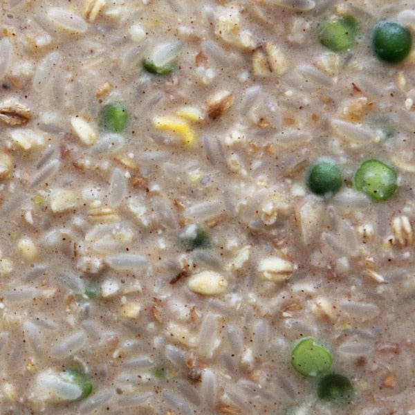 Higgins Worldly Cuisines Creamy Zen Bird Food Appetizer - Premium Organic Bird Treat for Parrots & Cockatiels - Perfect for Training & Bonding with Your Pet Bird