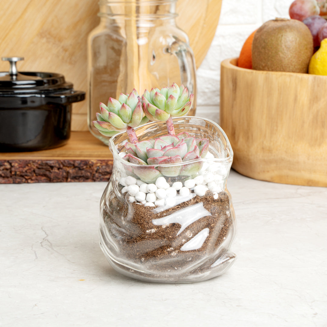 8 oz Clear Glass Storage Bowl with Lid - Round Airtight Food Container (3.25