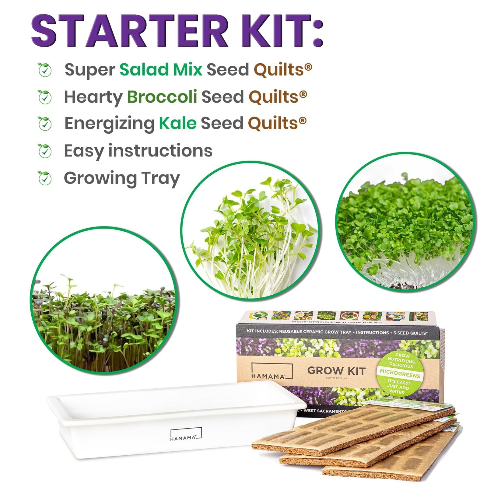 Organic HAMAMA Microgreens Growing Kit - Includes Kale, Broccoli & Salad Greens - Indoor Sprouting System with Seed Quilts & Ceramic Tray - Easy Setup for Home Gardening (Pack of 3) - Perfect for Salads, Smoothies & Healthy Eating