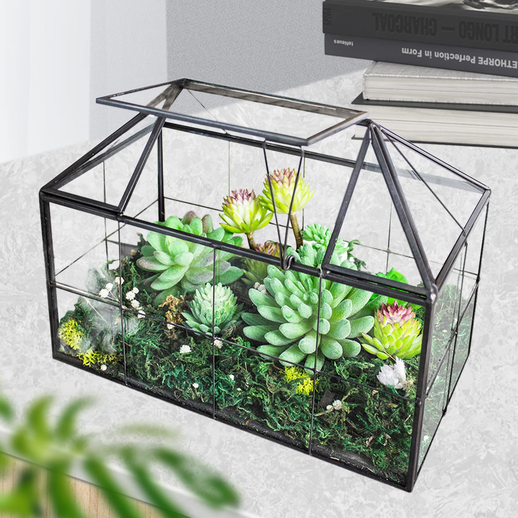 Ferrisland Glass Terrarium Greenhouse - House Shape Display Box for Succulents & Air Plants | Modern Tabletop Decor Planter Container | Perfect for Home Office, Wedding Centerpiece & DIY Garden Projects
