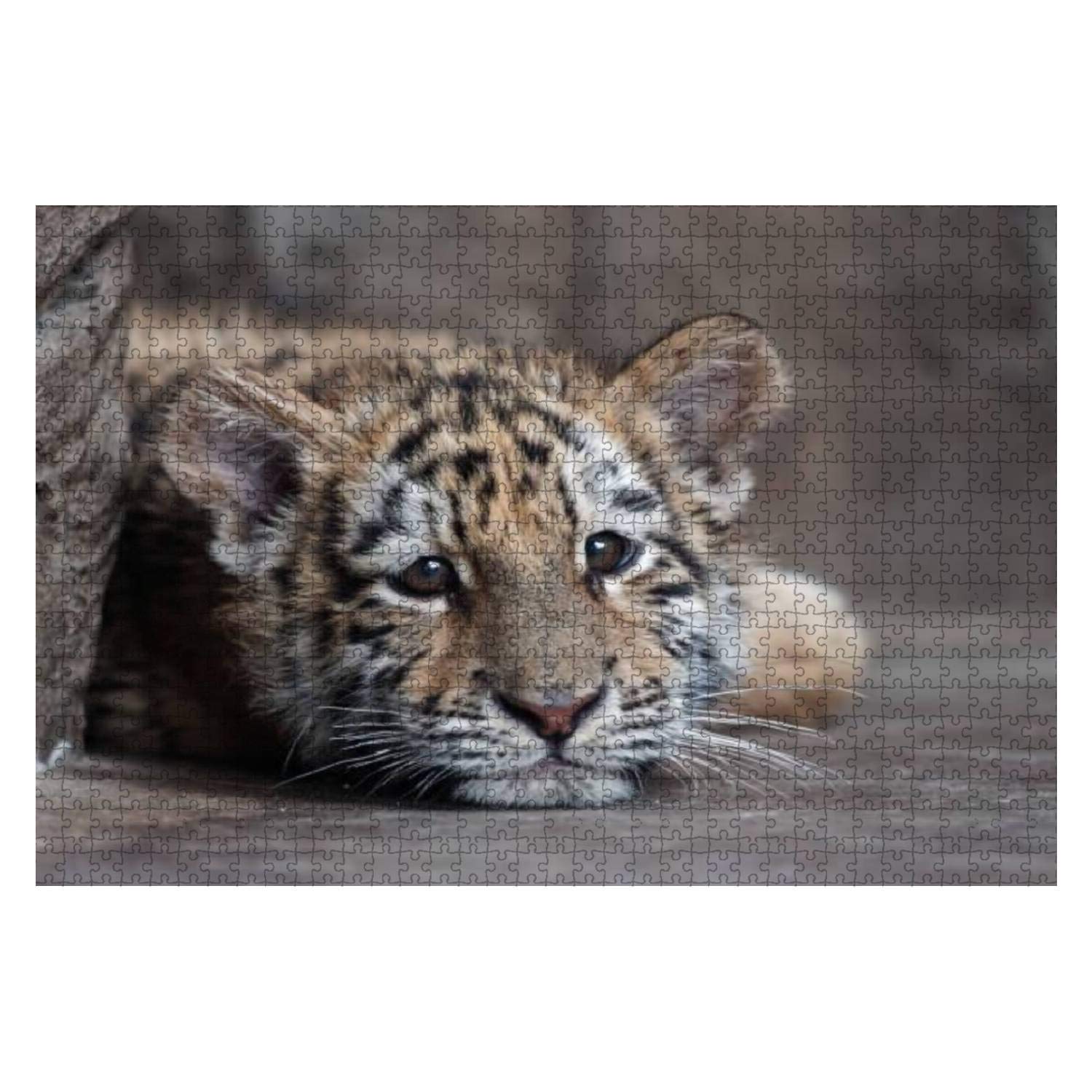 1000-Piece Wooden Jigsaw Puzzle - Manchurian Tiger Cub Lying Down Portrait | Educational Puzzle Game for Adults & Kids | Stress Relief Toy, Home Decor, Family Game Night Activity