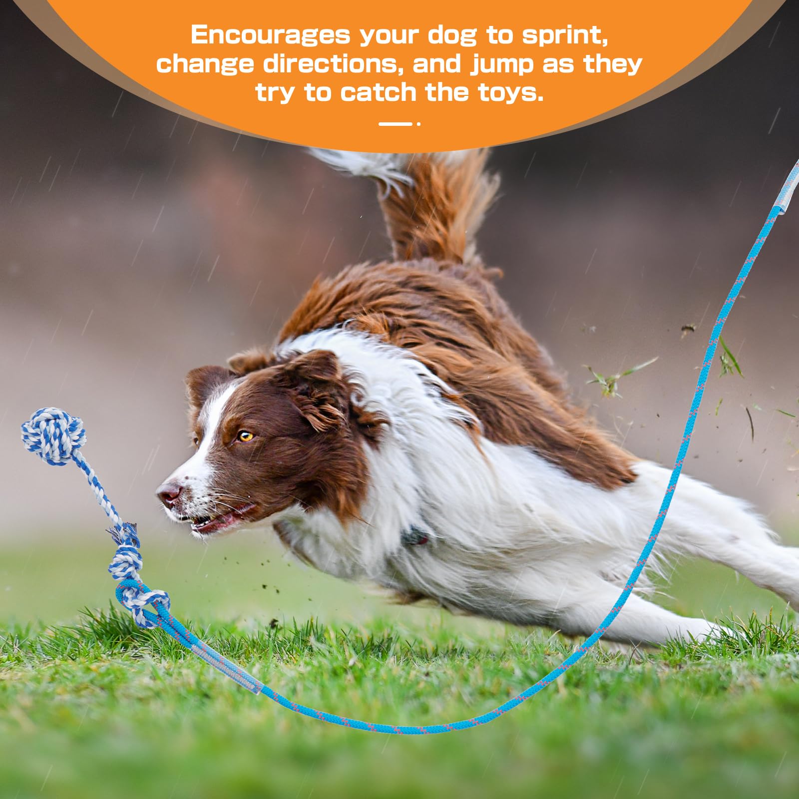 59 Inch Extendable Flirt Pole for Large Dogs - Interactive Dog Training Toy with Detachable Chew Toys - Perfect for Labs, German Shepherds & Golden Retrievers - Great for Outdoor Play, Exercise & Agility Training