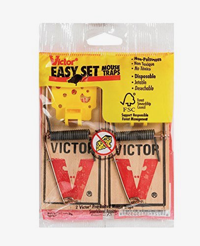 Victor EZ Set Mouse Trap (Pack of 50) - Humane & Effective Rodent Control for Home, Garage & Basement - Easy to Use & Reusable Mouse Catcher