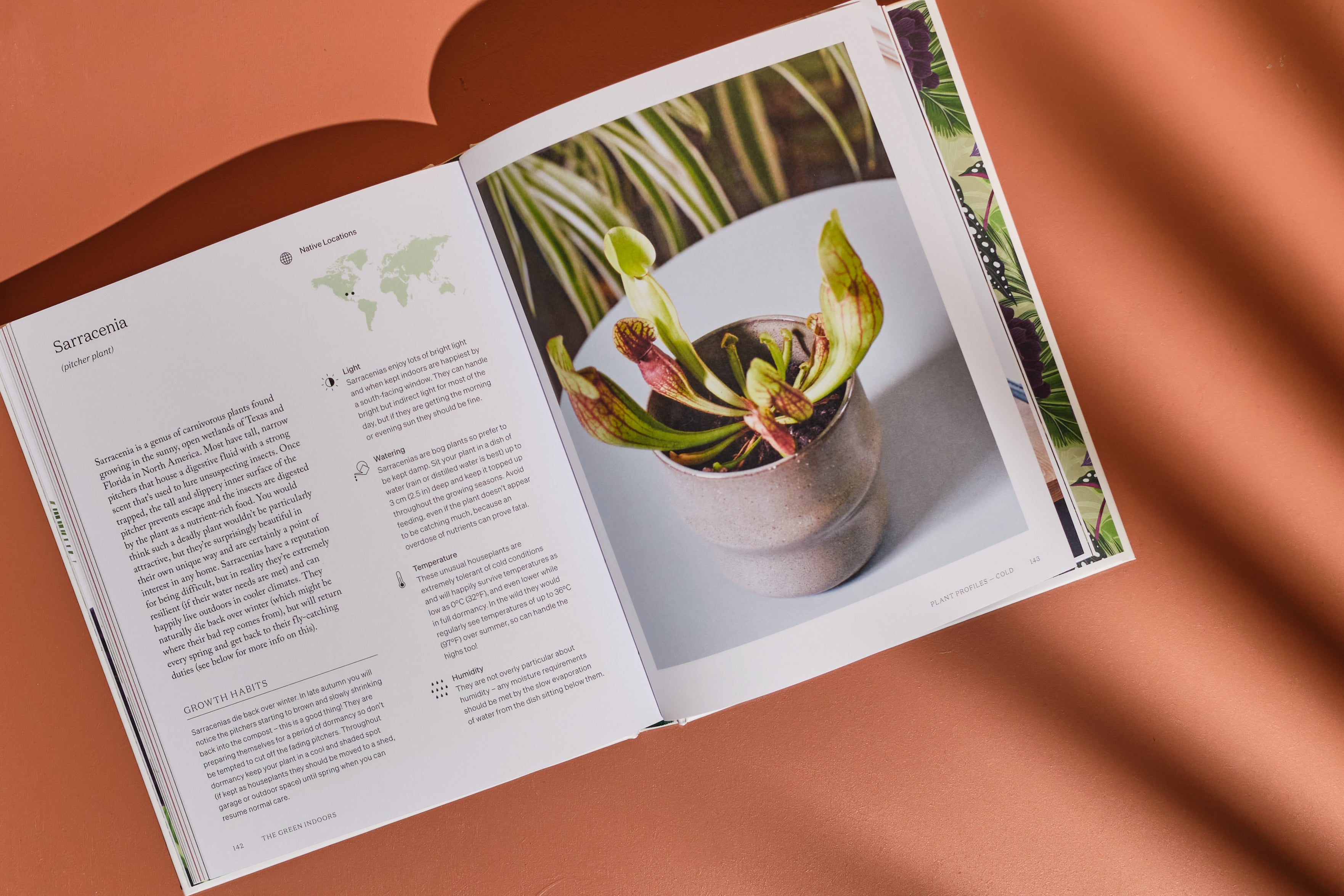 The Green Indoors Book - Indoor Gardening Guide for Beginners | Home Decor & Houseplant Care Tips | Perfect for Urban Dwellers & Plant Lovers