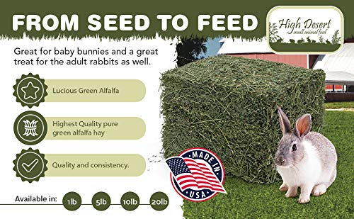 Premium Dried Alfalfa Hay for Rabbits, Guinea Pigs, Chinchillas & Ferrets | High Protein & Fiber Natural Pet Food | Small Animal Feed for Cages, Hutches & Play Areas