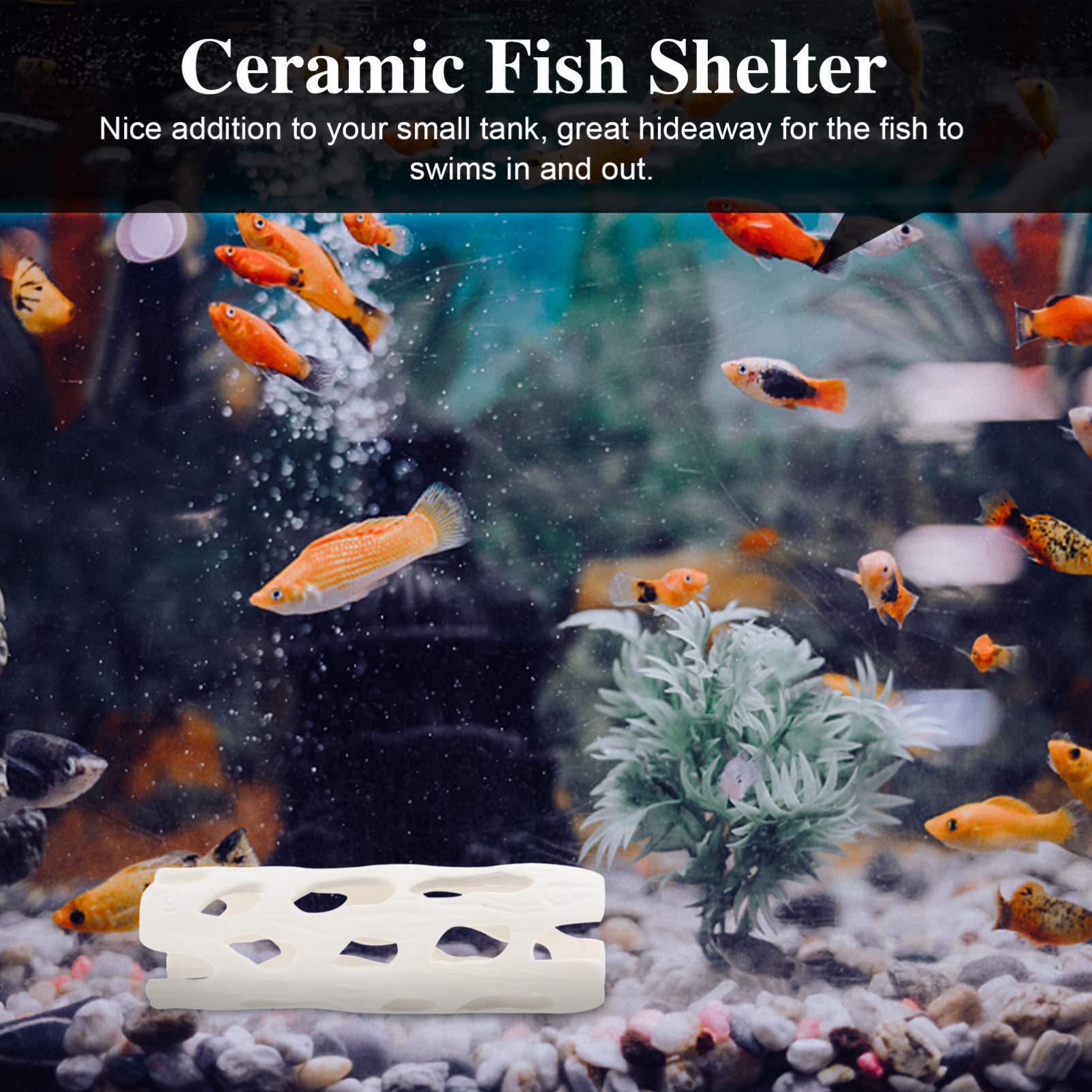 Balacoo Ceramic Aquarium Decor - Betta Cave & Cichlid Hideout for Breeding