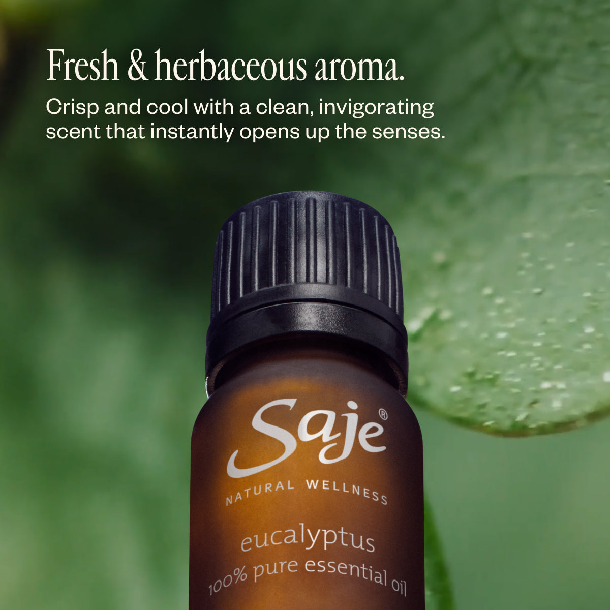 Pure Eucalyptus Essential Oil - 100% Natural for Aromatherapy, Diffusers & Massage - Relaxation & Respiratory Support