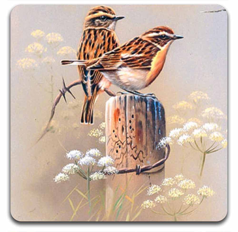 Eco-Friendly Artistic Bird Square Coaster Set - 4-Pack Polyester Fabric & Recycled Rubber Drink Coasters for Home, Office, and Party Decor