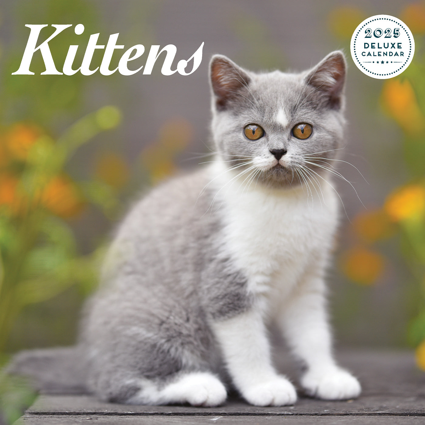 2025 Kitten Deluxe Wall Calendar - Cute Cat Lovers Monthly Planner for Home & Office Decor | Perfect Gift for Cat Owners