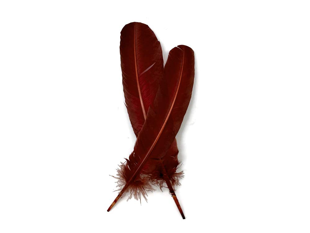 1 Lb. Wine Brown Turkey Tom Rounds Secondary Wing Quill Feathers Bulk - Halloween Craft Supplies, DIY Costume Accessories, Dreamcatcher Making | Moonlight Feather