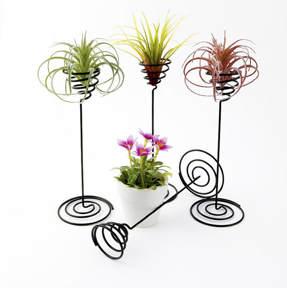Air Plant Stand Holder - 2 Pack Tabletop Planter Base for Tillandsia | Modern Home & Office Decor | Perfect for Desks, Shelves & Gift Giving