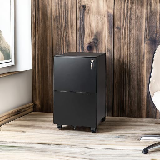 DEVAISE 2-Drawer Locking Rolling File Cabinet - Black Metal Filing Storage for Home Office, Fully Assembled Under Desk Organizer - Perfect for Document Storage & Workspace Organization