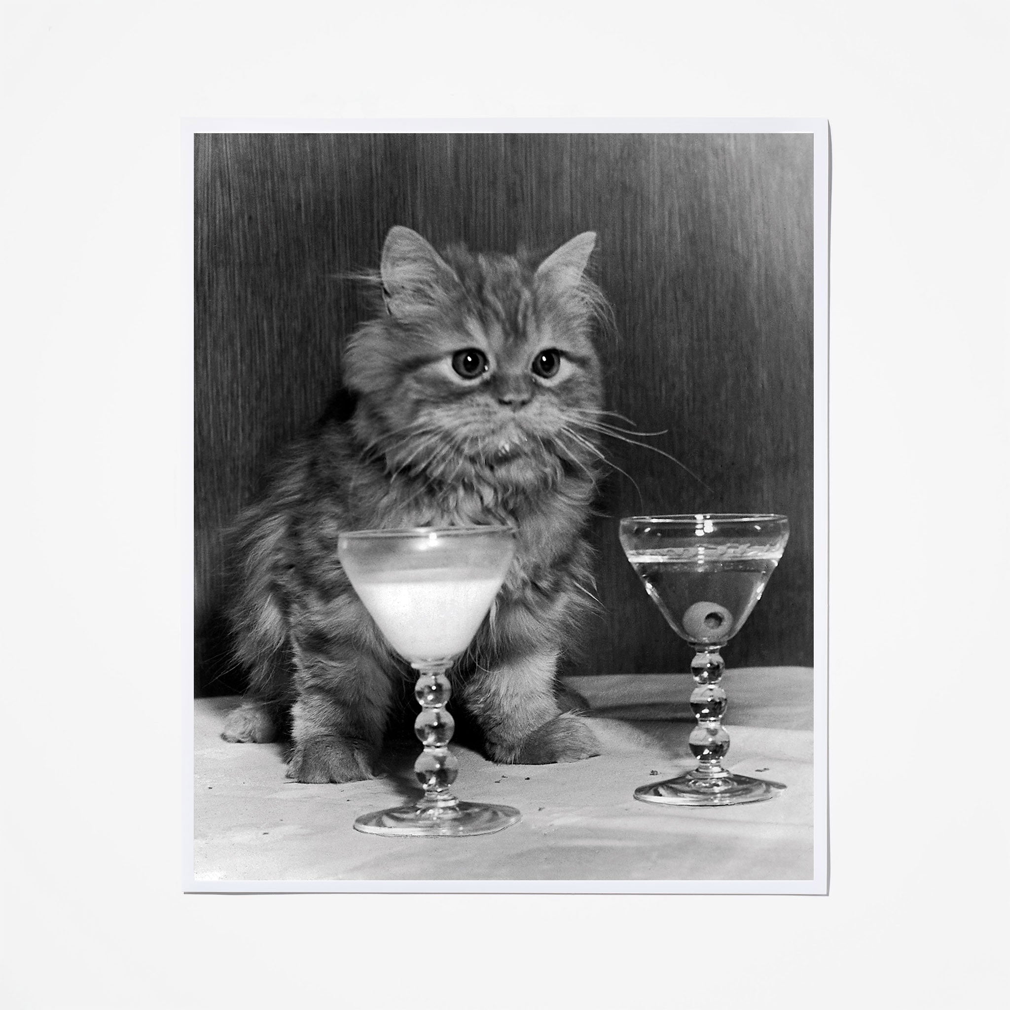 Martini or Milk? - Elegant Glassware for Cocktails & Beverages - Perfect for Home Bars, Parties & Entertaining