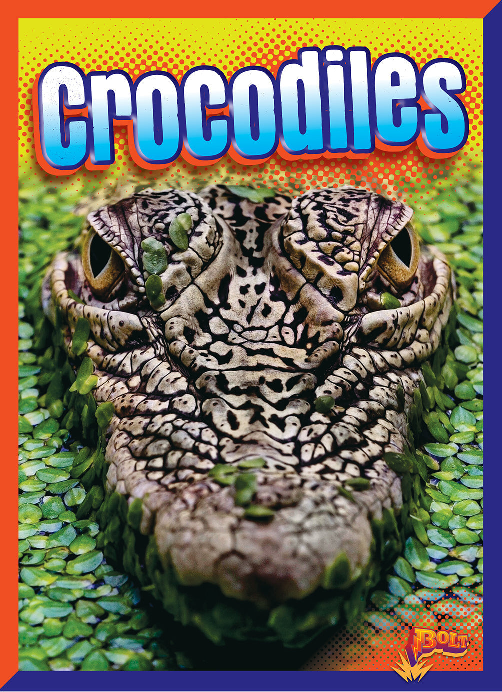 Crocodiles Book - 9781623106423 | Wildlife Education & Nature Guide for Kids & Adults | Perfect for School Projects & Animal Lovers