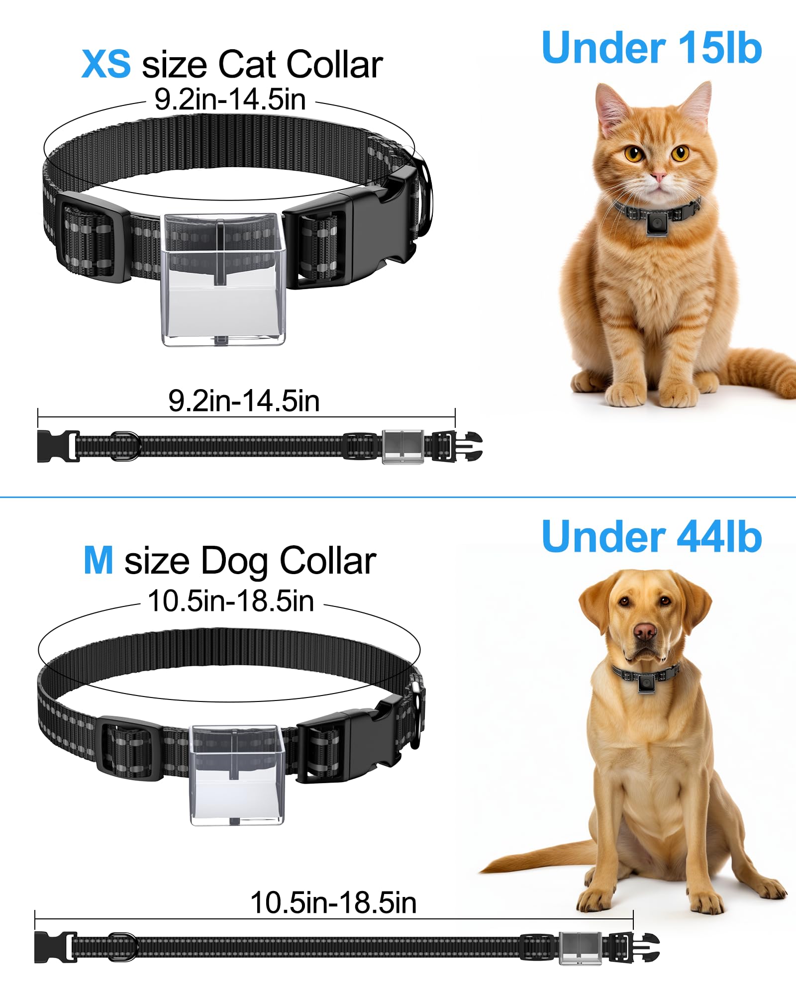 Pet Camera Collar for Cats & Dogs - No App Needed, Wireless Body Camera for Pet Tracking & Monitoring - Perfect for Outdoor Adventures, Home Security & Training (M-Size, Micro-SD Card Not Included)