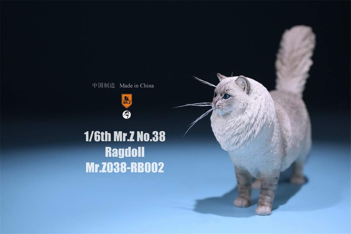 1:6 Scale Realistic Ragdoll Cat Pet Figure - Lifelike Felidae Animal Model for Home Decor, Collectors & Dollhouse Miniature Scenes