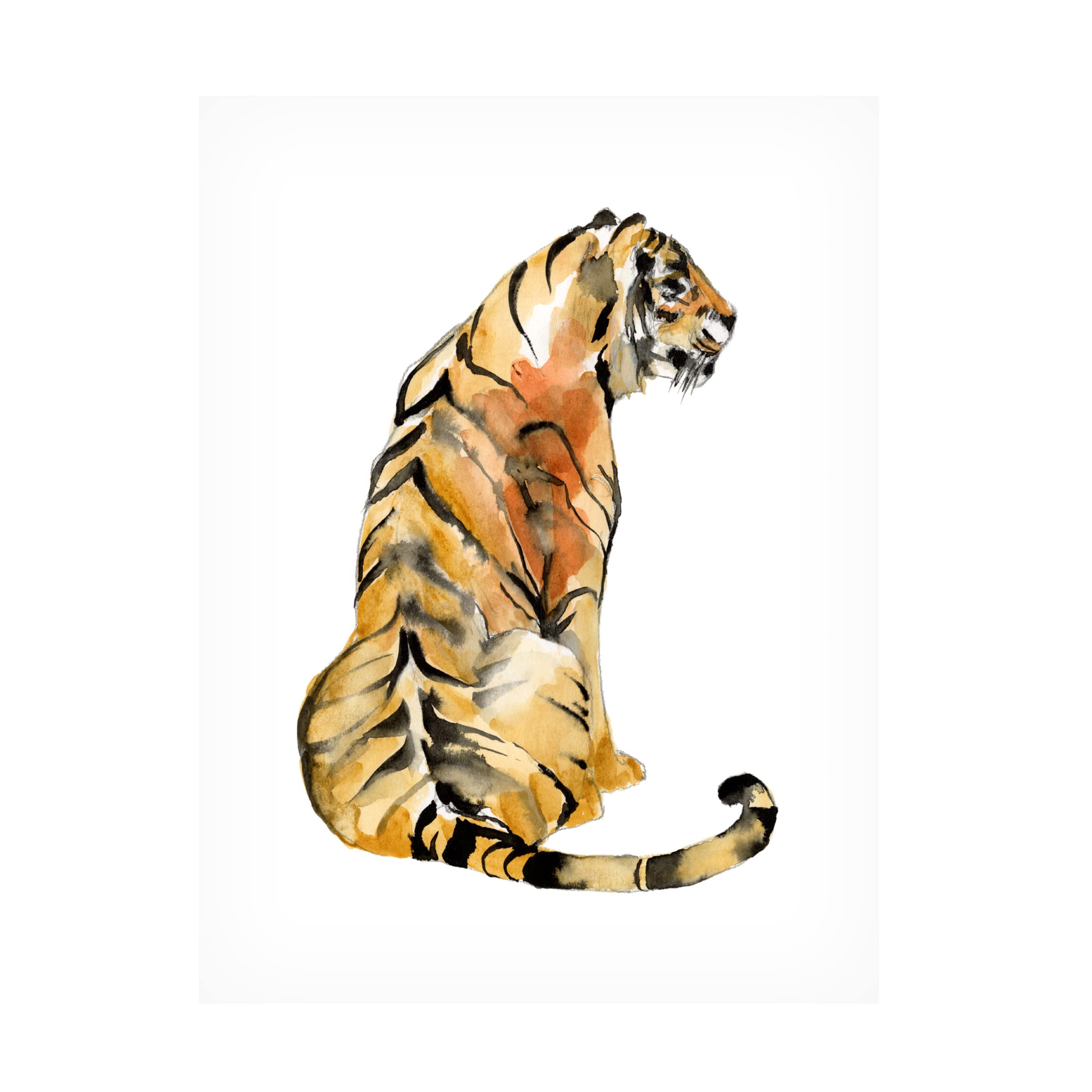 Jennifer Goldberger 'Sitting Tiger I' Canvas Wall Art Print - Modern Wildlife Home Decor for Living Room, Bedroom & Office