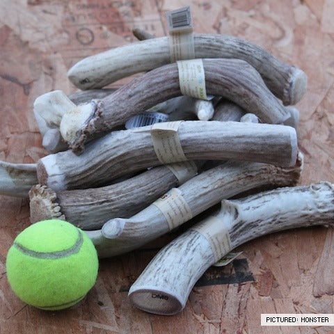 Premium Grade 8-9 Inch Deer Antlers for Dogs - Natural Chew Toy for Aggressive Chewers - Long-Lasting Dental Health Treat - Perfect for Large Breed Dogs & Outdoor Training