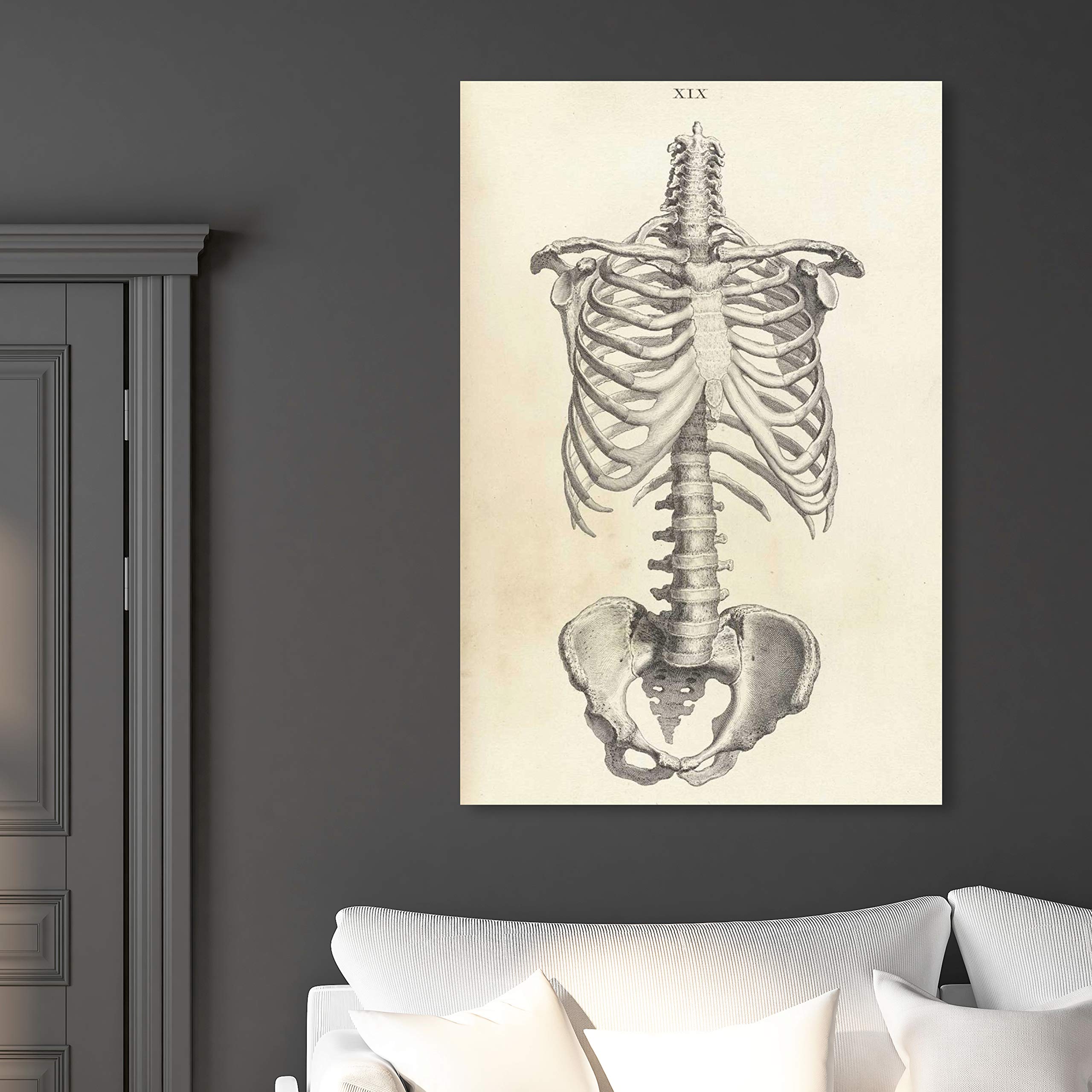 Oliver Gal Artist Co. 'Cheselden IV' Classic Wall Art Canvas Print - 30