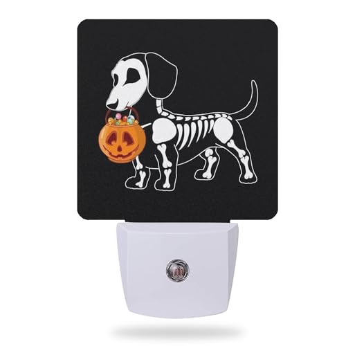 Halloween Dachshund Dog