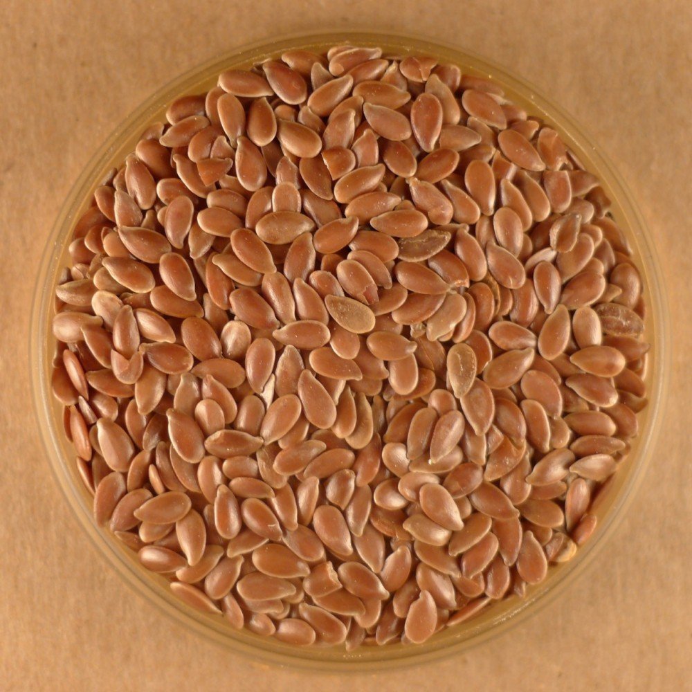 Organic Whole Flax Seeds - 50 lb Bulk Bag | High in Omega-3 & Fiber | Perfect for Baking, Smoothies & Healthy Recipes