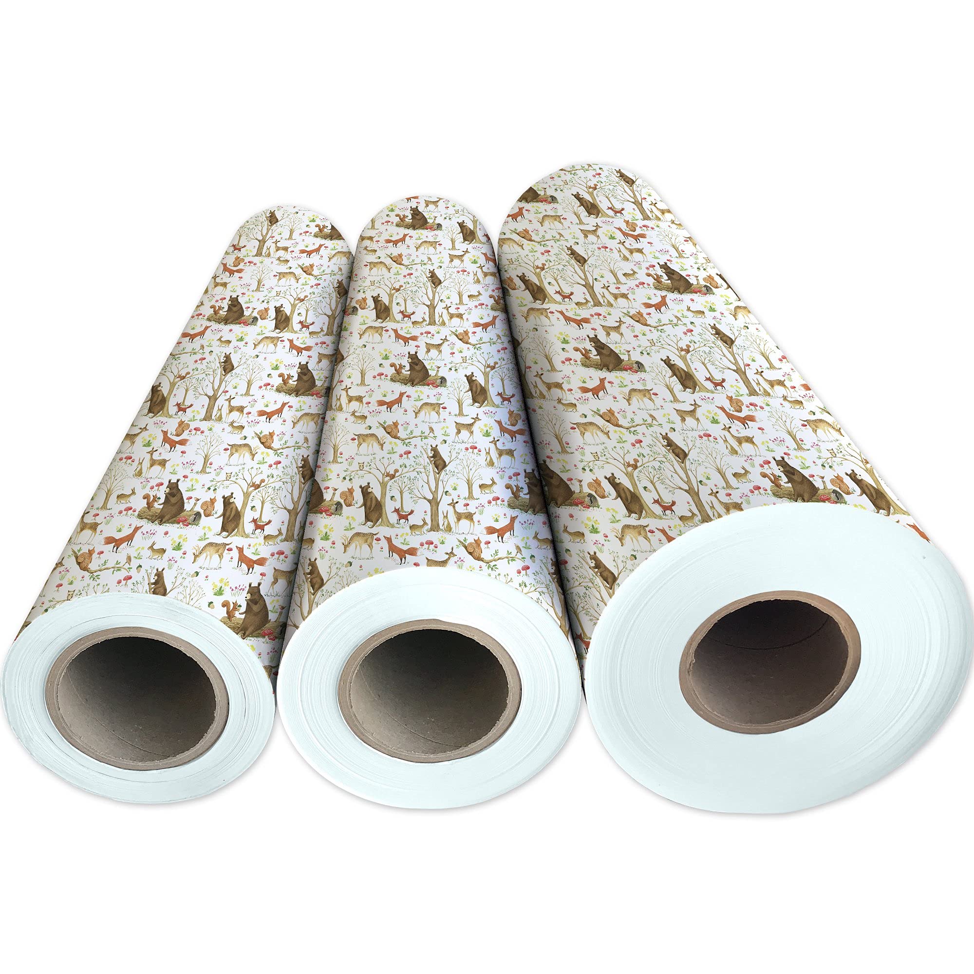 Jillson Roberts Bulk Gift Wrapping Paper - Fairytale Forest Design, 1/4 Ream (208 Feet x 24 Inches) - Premium Holiday Wrapping Paper for Christmas, Birthday & Party Gifts