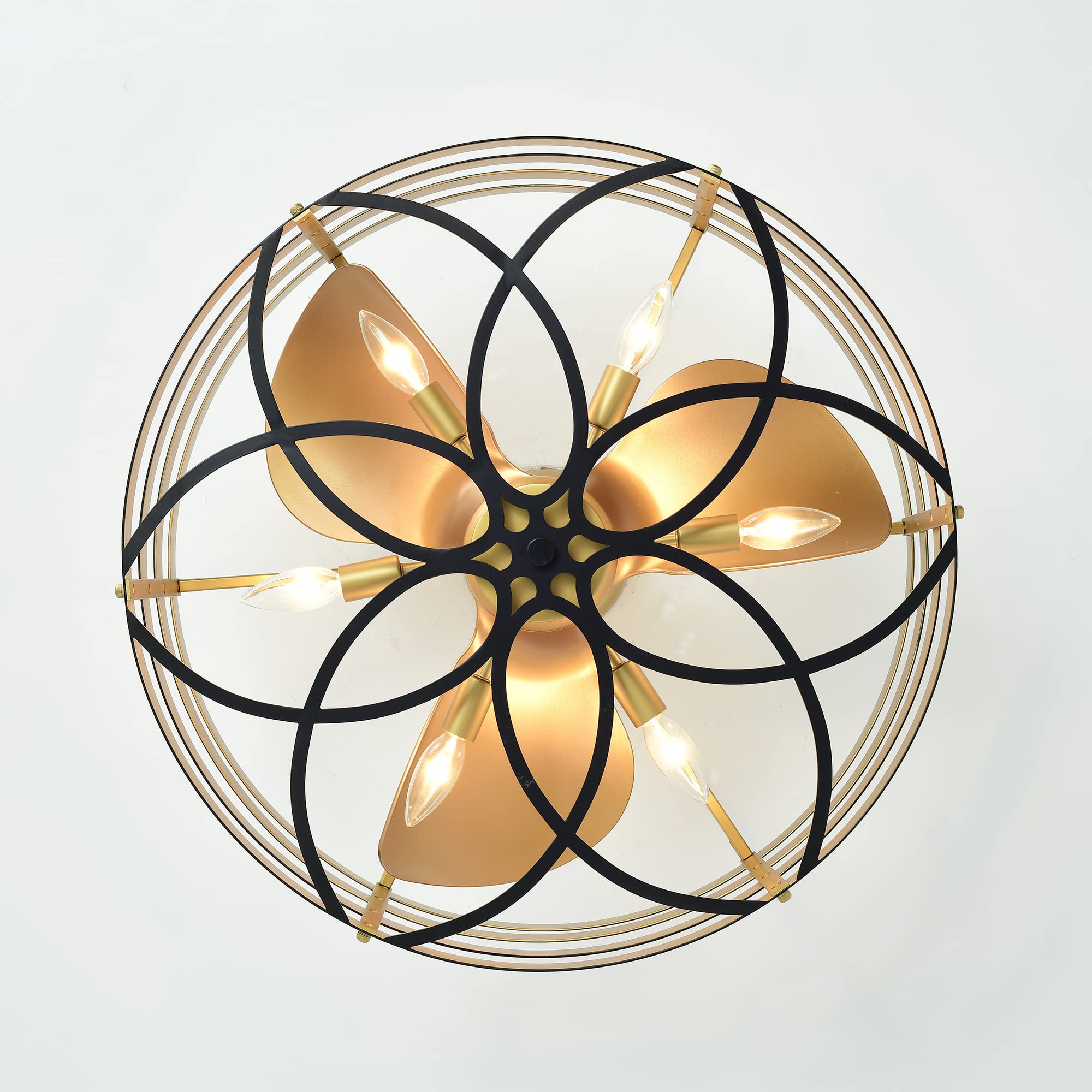 Ofra 24-Inch 6-Light 3-Blade LED Ceiling Fan with Remote Control - Perfect for Bedroom, Living Room & Home Office Lighting