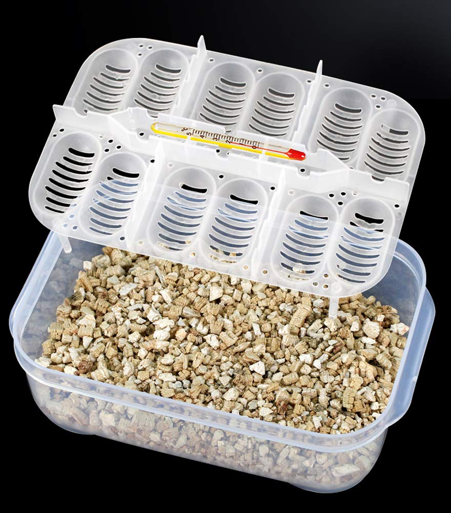 OMEM Reptile Breeding Box - Transparent Reptile Egg Incubator with Thermometer for Hatching Gecko, Lizards, Lion's Mane & Other Reptiles | Perfect for Home Breeding, Pet Store & Classroom Science Projects