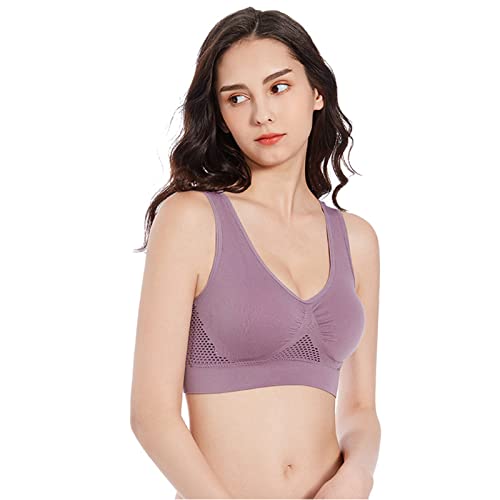 Gray Purple