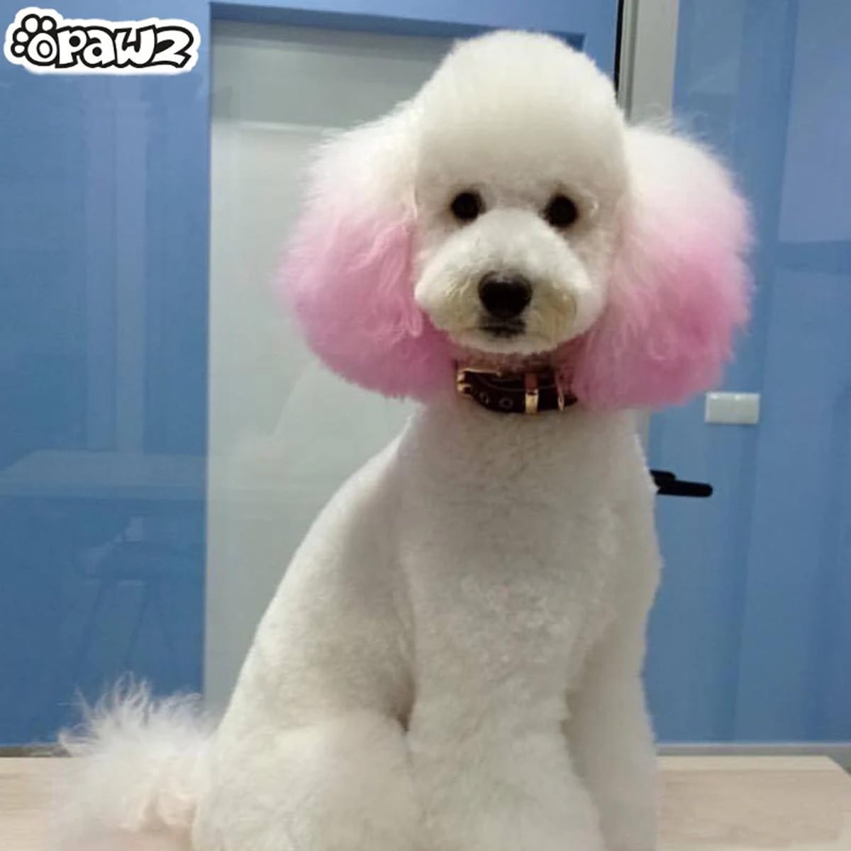 OPAWZ Washable Pet Hair Dye - Safe Temporary Dog Hair Color for Creative Grooming (Pink) - Perfect for Pet Parties & Photos