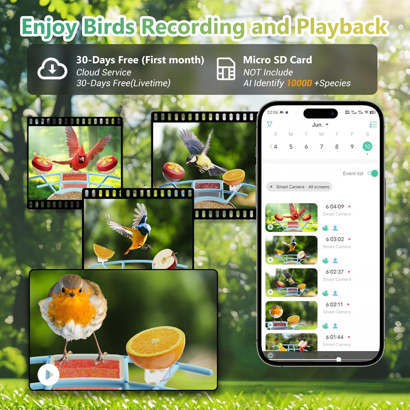 Smart Bird Feeder with Camera - Solar Powered Outdoor Bird Watching House, Full HD AI Recognition & Auto Video Capture - Perfect for Bird Lovers & Wildlife Enthusiasts (Great for Backyard, Garden & Nature Observation)