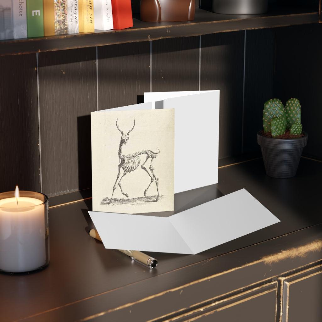 Deer Skeleton Greeting Cards - 10 Pack Halloween Themed Blank Note Cards with Envelopes - Perfect for Spooky Party Invitations, Halloween Decorations, and Gothic Gift Giving