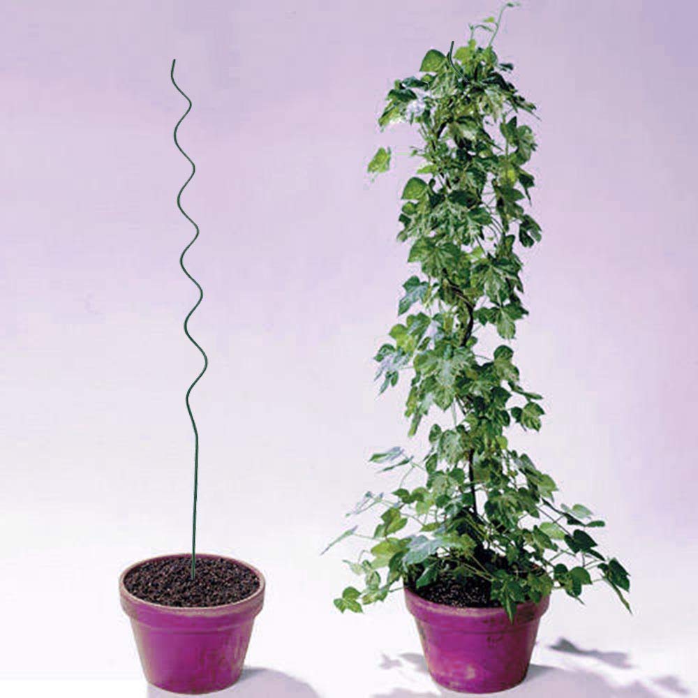 59-inch Green Spiral Tomato Stakes - Pack of 10 | 6mm Thick Twist Plant Supports for Climbing Tomatoes, Vines & Vegetables | Durable Garden Stakes for Outdoor Planting, Trellising & Vertical Gardening