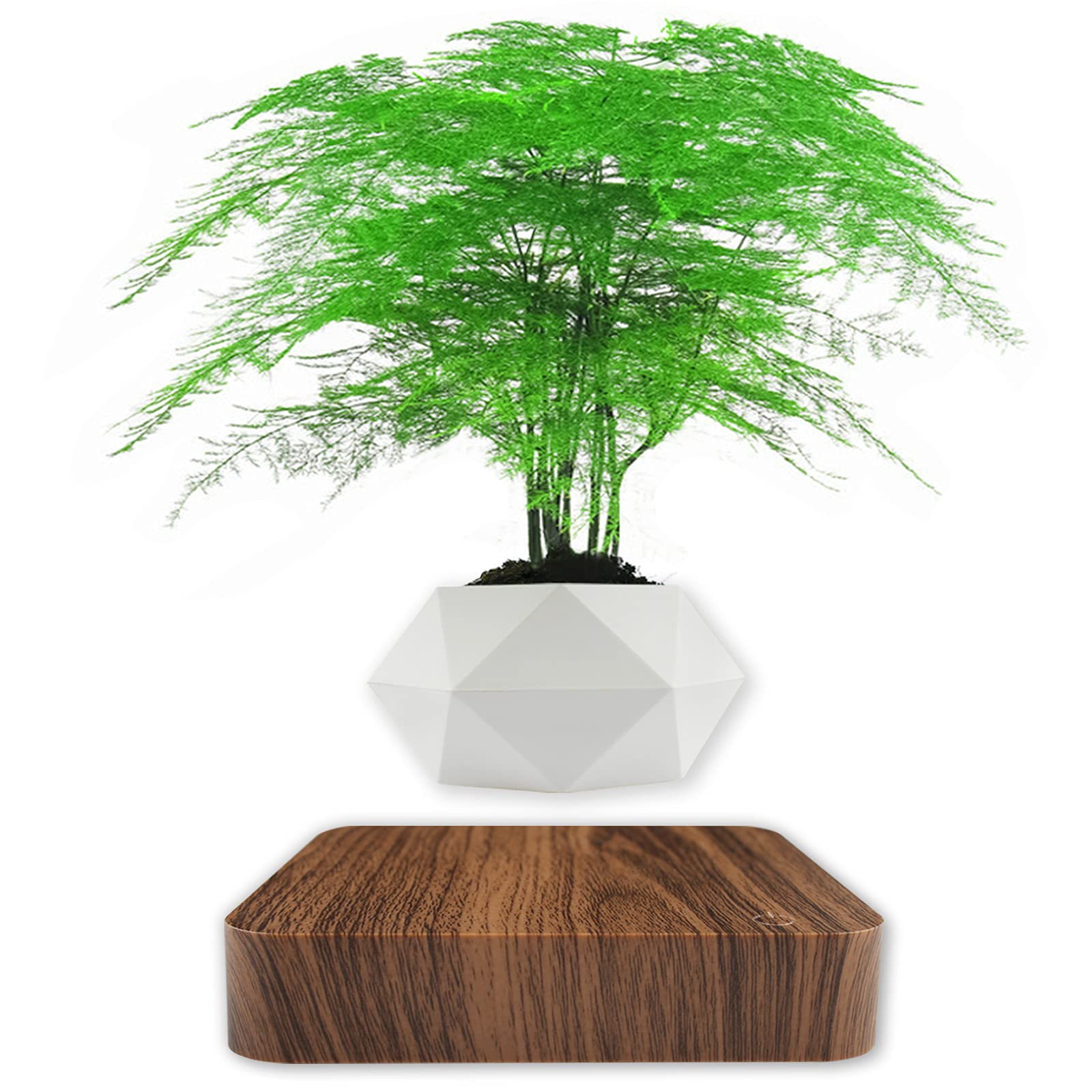 Magnetic Levitating Plant Pot - Floating Air Bonsai Planter with Spinning Base | Cool Tech Gadget & Unique Office Desk Decor | Perfect Gift for Home, Office, or Workspace Decorations | Ideal for Plant Lovers, Tech Enthusiasts, and Modern Interior Design