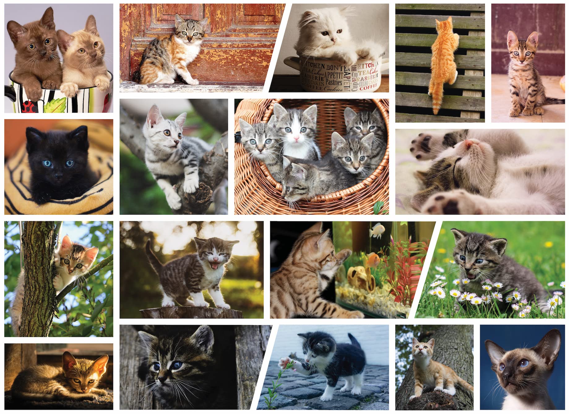 Better Me 1000-Piece Cute Kittens Jigsaw Puzzle for Adults - Fun Cat Lovers Puzzle with Collage Design | Perfect for Relaxation, Family Game Night & Home Decor