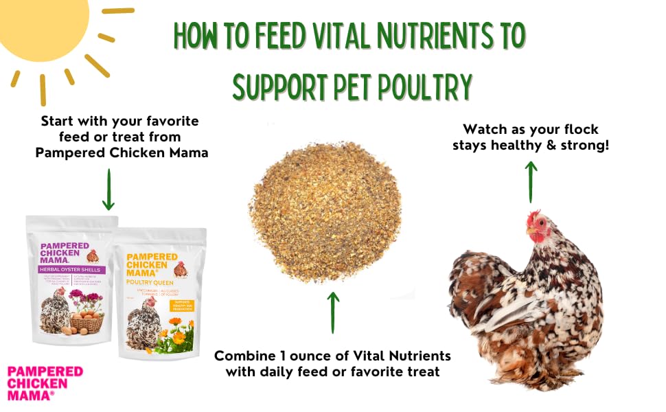 Vital Nutrients Premium Chicken Vitamins for Feed - Molting Supplement & Egg Booster for Poultry Health - Pampered Chicken Mama 1.5lb | Ideal for Backyard Chickens & Farm Flocks